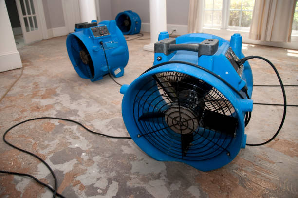 Best Sewage cleanup and water damage restoration  in East San Gabriel, CA